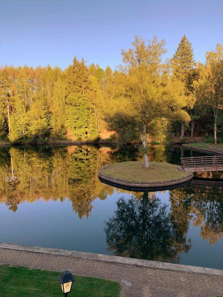האסלפלדה Das Waldseechalet Maerchenhafter Waldseeblick - Moderne Wohnung Mit Infrarotsauna מראה חיצוני תמונה